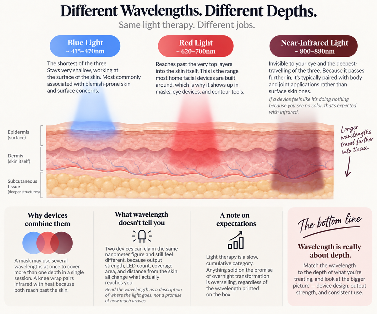 Red Light vs. Blue Light vs. Infrared: What Each Wavelength Actually Does